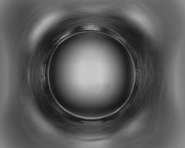 X0000086891487200704161234