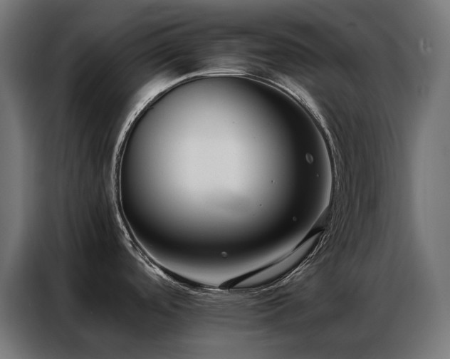 X0000086891488200704161234