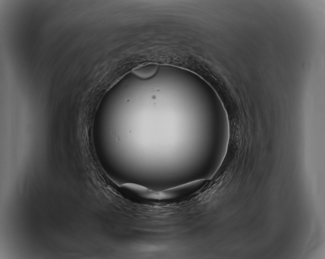 X0000086891489200704161233