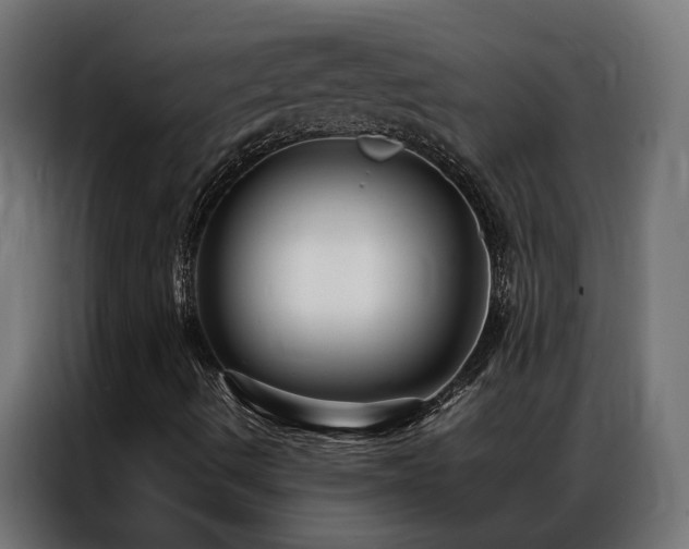 X0000086891490200704161233