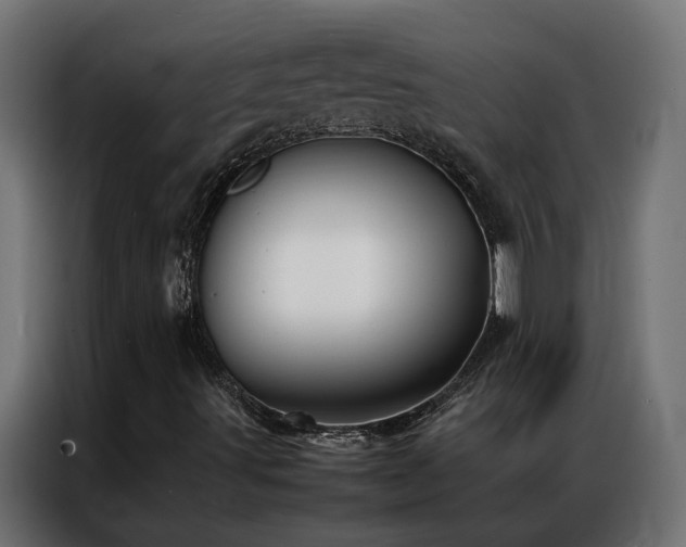 X0000086891491200704161233