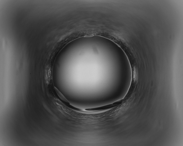 X0000086891492200704161233