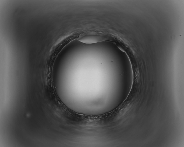 X0000086891494200704161233