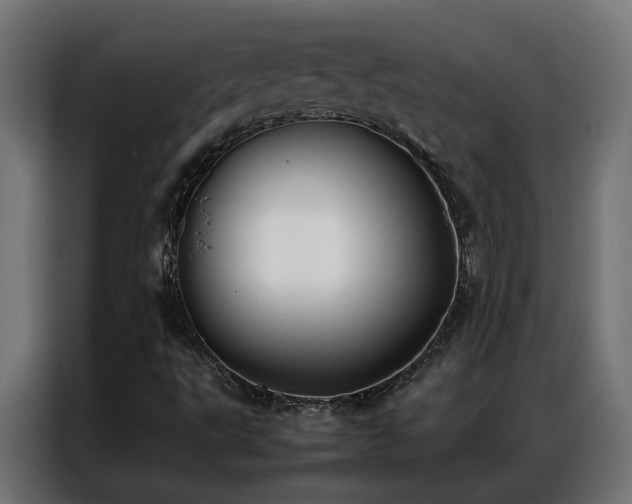 X0000086891495200704161233