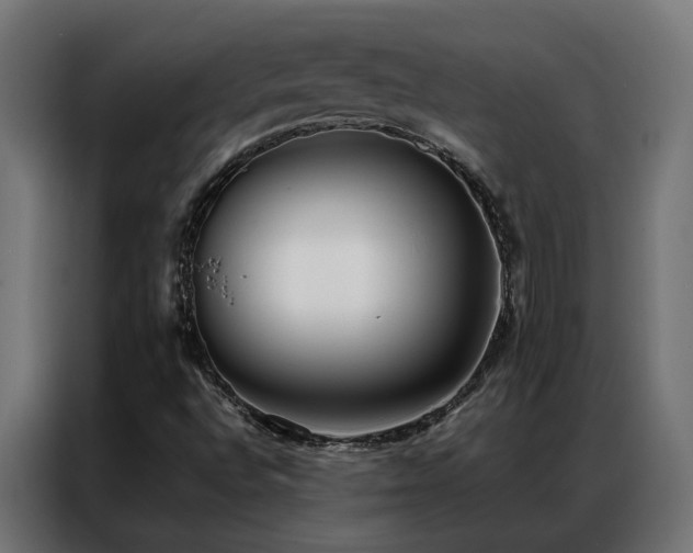 X0000086891496200704161233