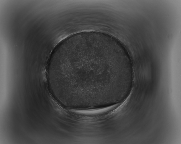 X0000086891497200704161233