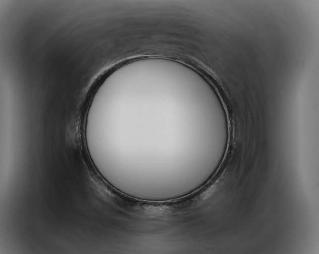 X0000086891498200704161233