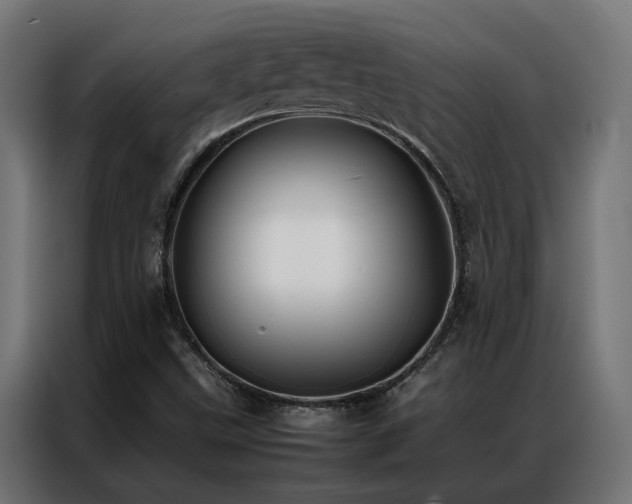 X0000086891499200704161233