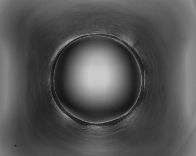 X0000086891500200704161234