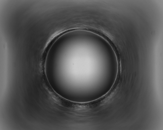 X0000086891501200704161234