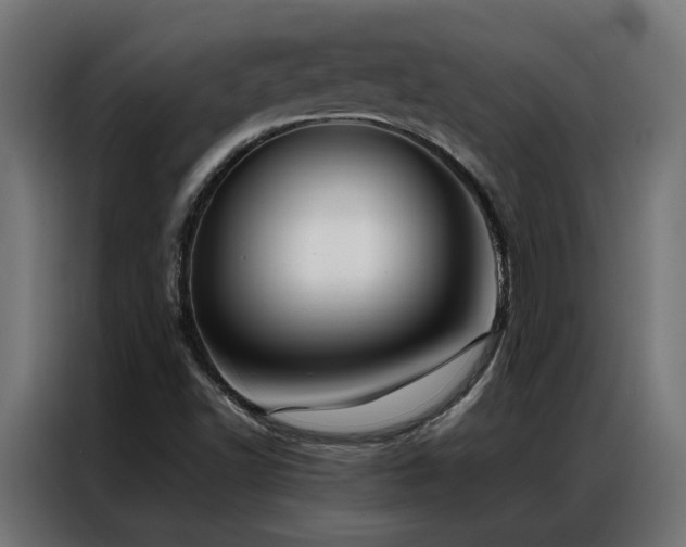 X0000086891502200704161234