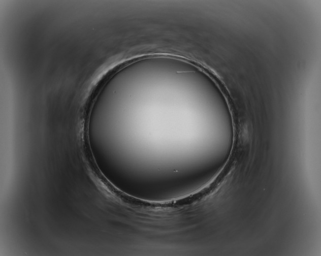 X0000086891503200704161234