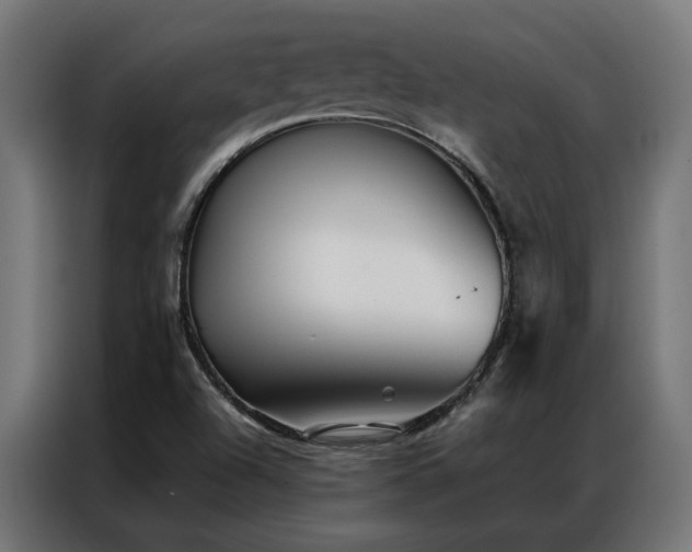 X0000086891504200704161234