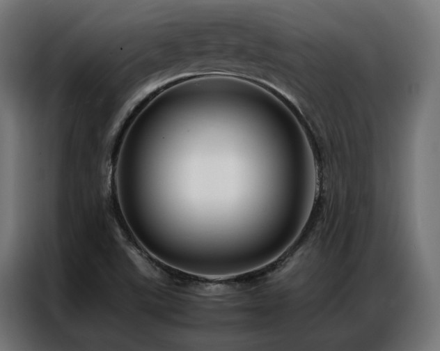 X0000086891507200704161234