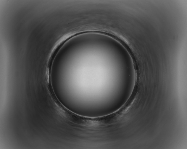 X0000086891509200704161234