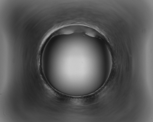 X0000086891511200704161234