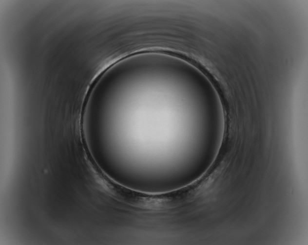X0000086891513200704161234