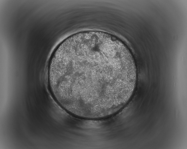 X0000086891514200704161234