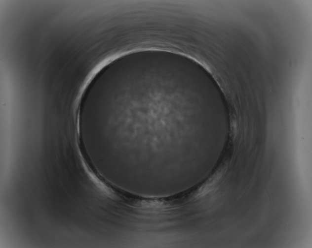 X0000086891515200704161234