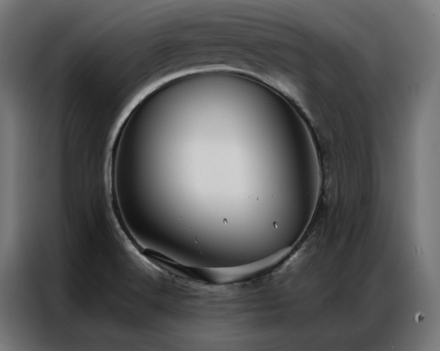 X0000086891516200704161234