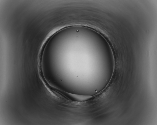 X0000086891517200704161234