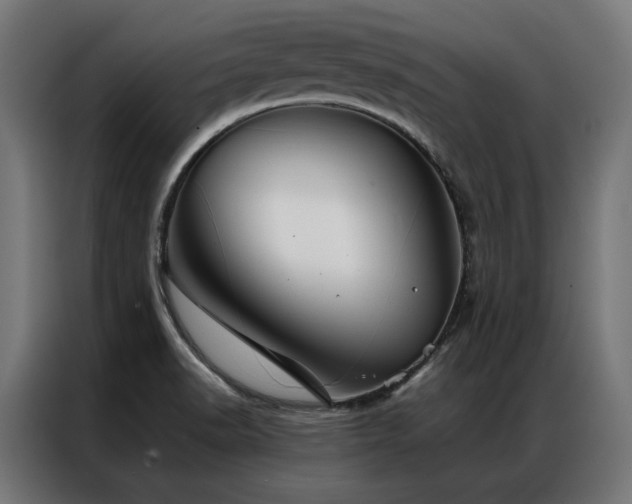 X0000086891518200704161234