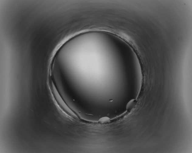 X0000086891520200704161234