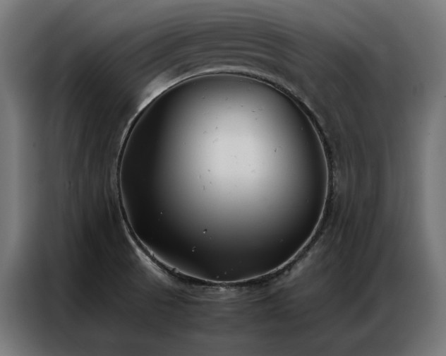 X0000086891521200704161234