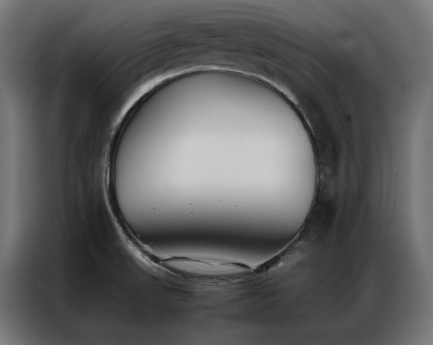 X0000086891523200704161234