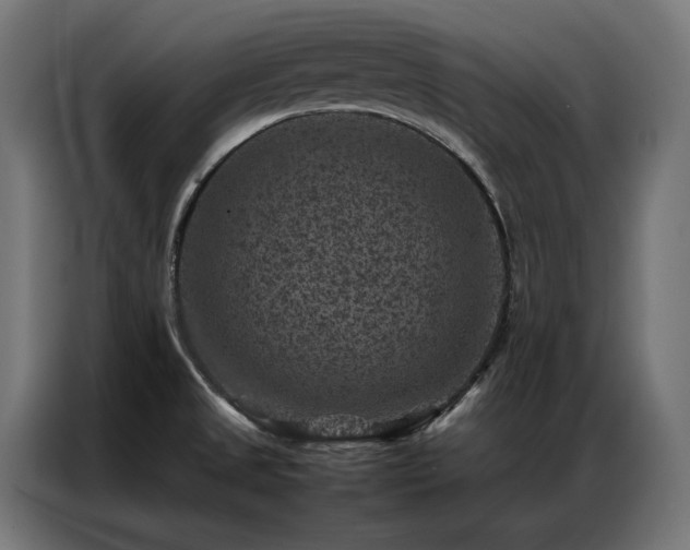 X0000086891525200704161234