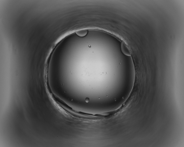 X0000086891526200704161234