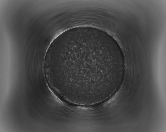 X0000086891529200704161234