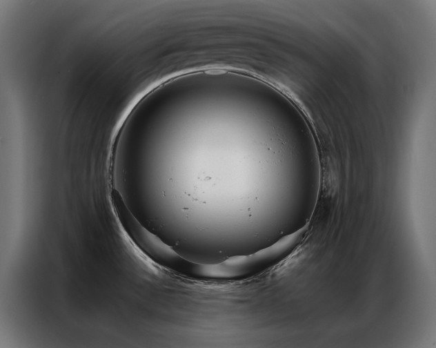 X0000086891532200704161234