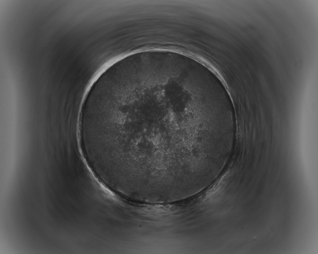 X0000086891533200704161234
