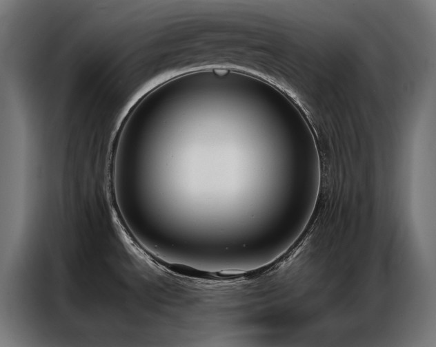 X0000086891534200704161234