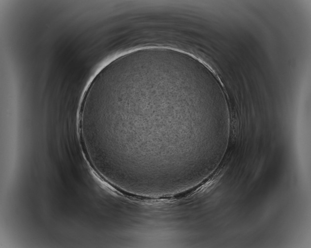 X0000086891535200704161234