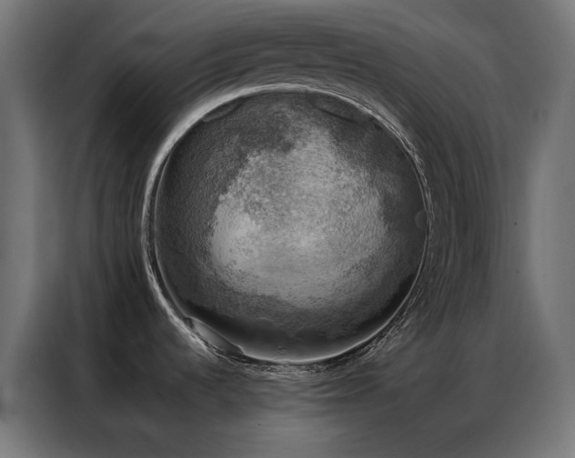 X0000086891536200704161234