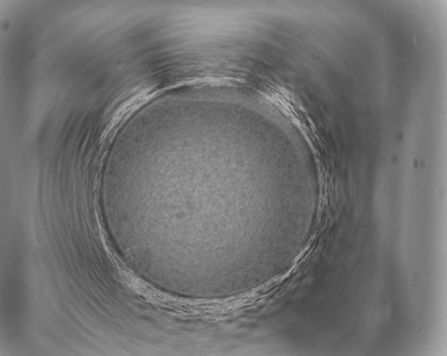 X0000086890001200704231140