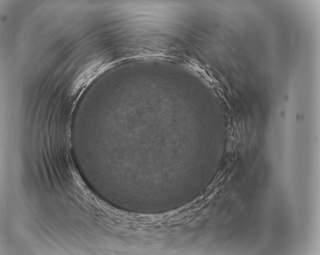 X0000086890002200704231140