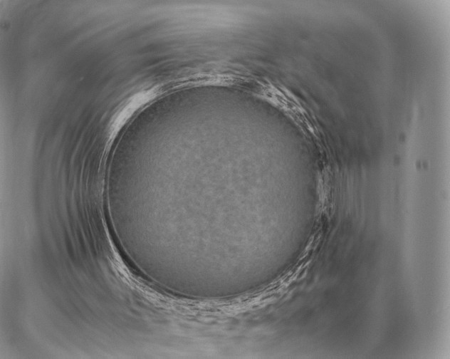 X0000086890003200704231140