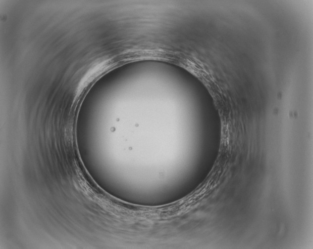 X0000086890004200704231140