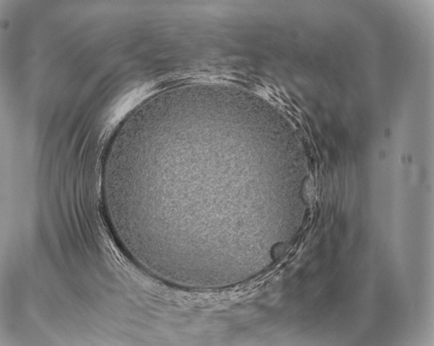 X0000086890005200704231140