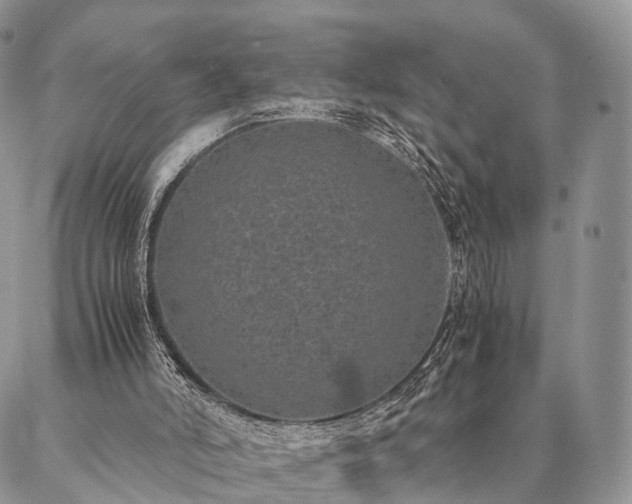 X0000086890006200704231140