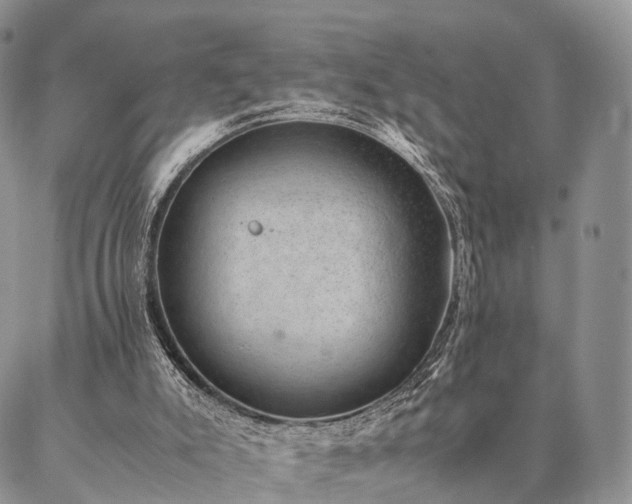 X0000086890007200704231140