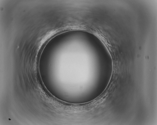 X0000086890008200704231140