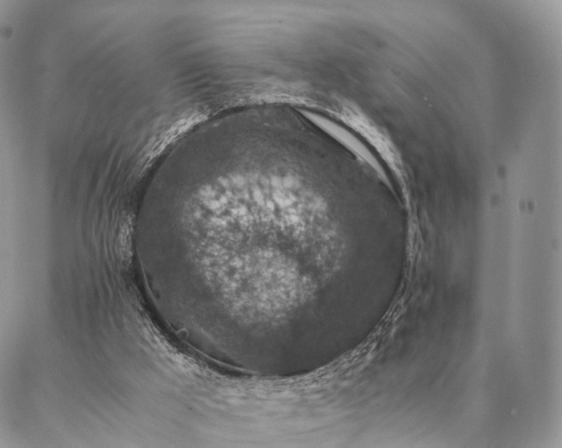 X0000086890009200704231139