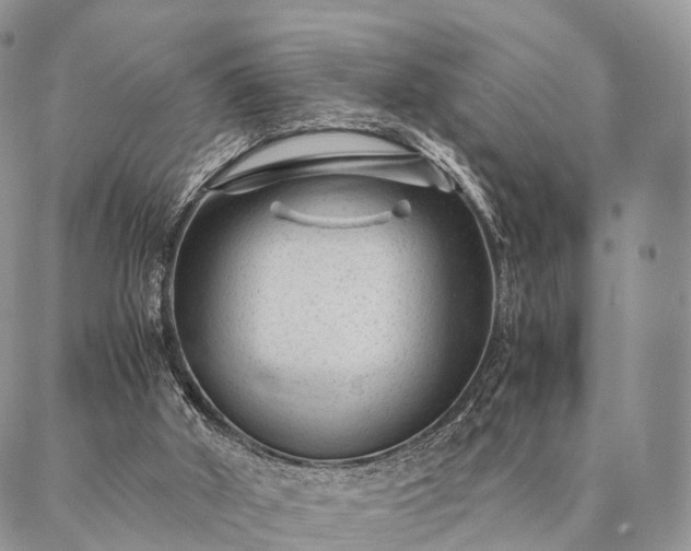 X0000086890010200704231139