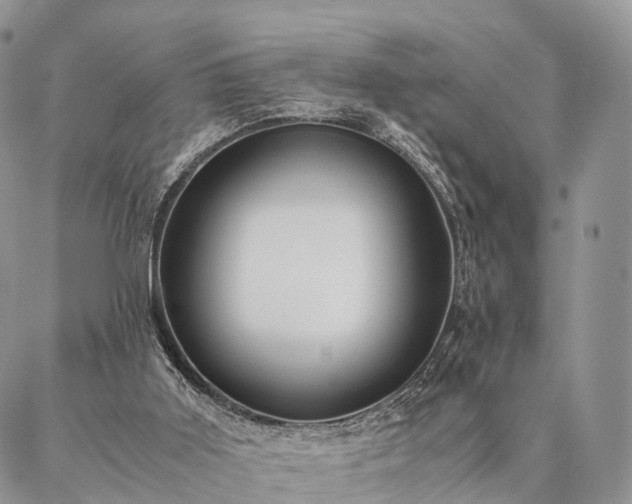 X0000086890011200704231139