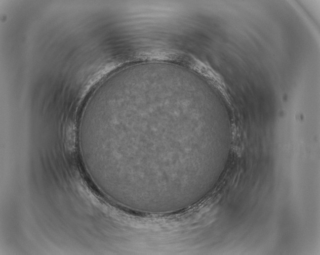 X0000086890012200704231139