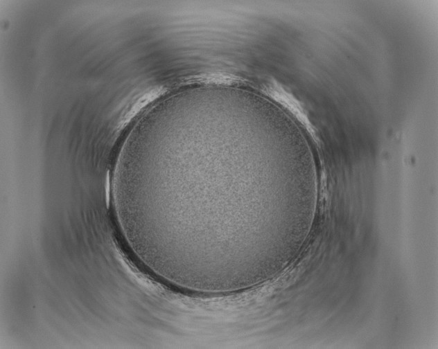 X0000086890013200704231139